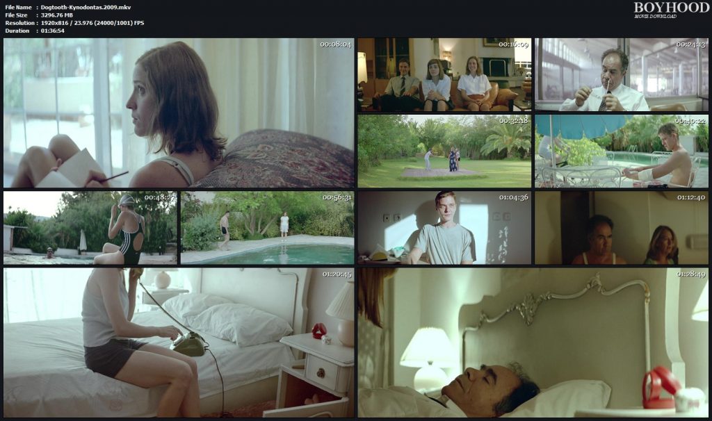 Dogtooth 2009