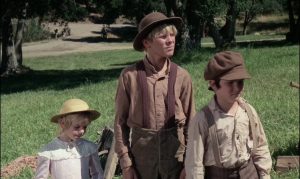 The Apple Dumpling Gang 1975