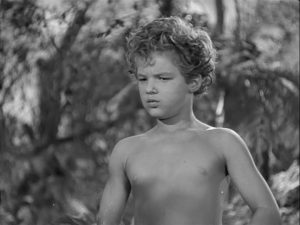 Tarzan Triumphs 1943